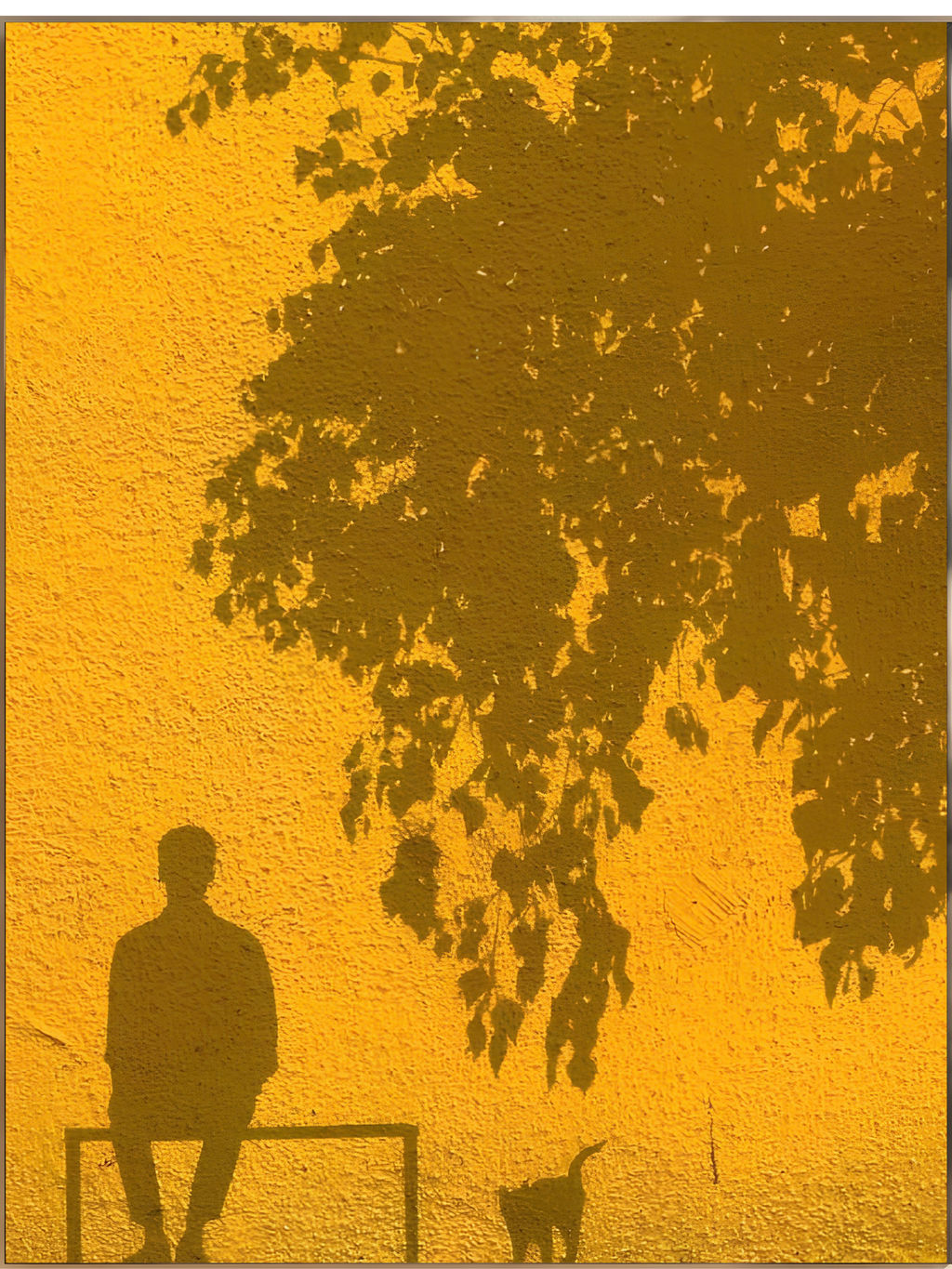 Butter Yellow N°02