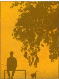 Butter Yellow N°02
