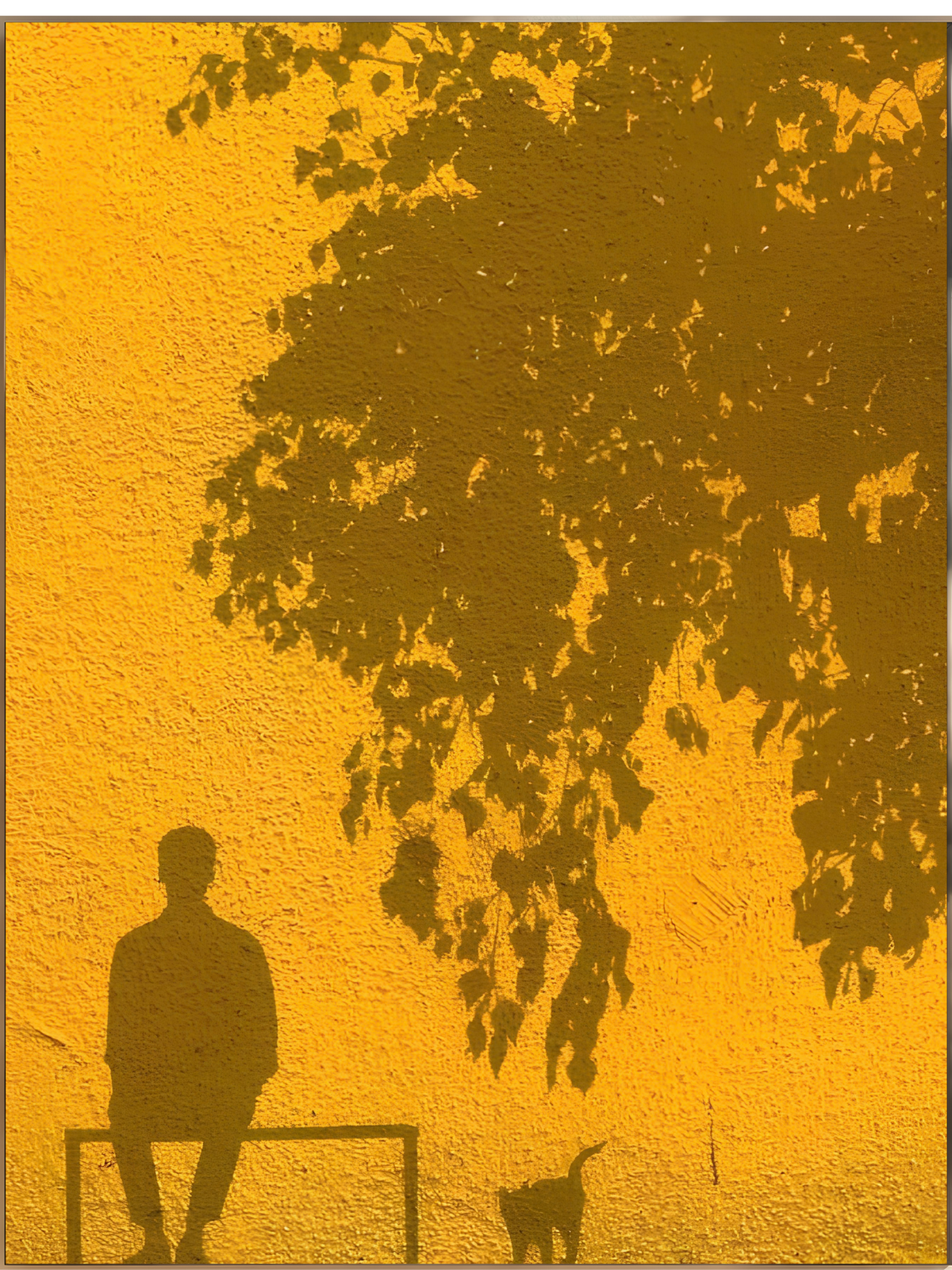 Butter Yellow N°02