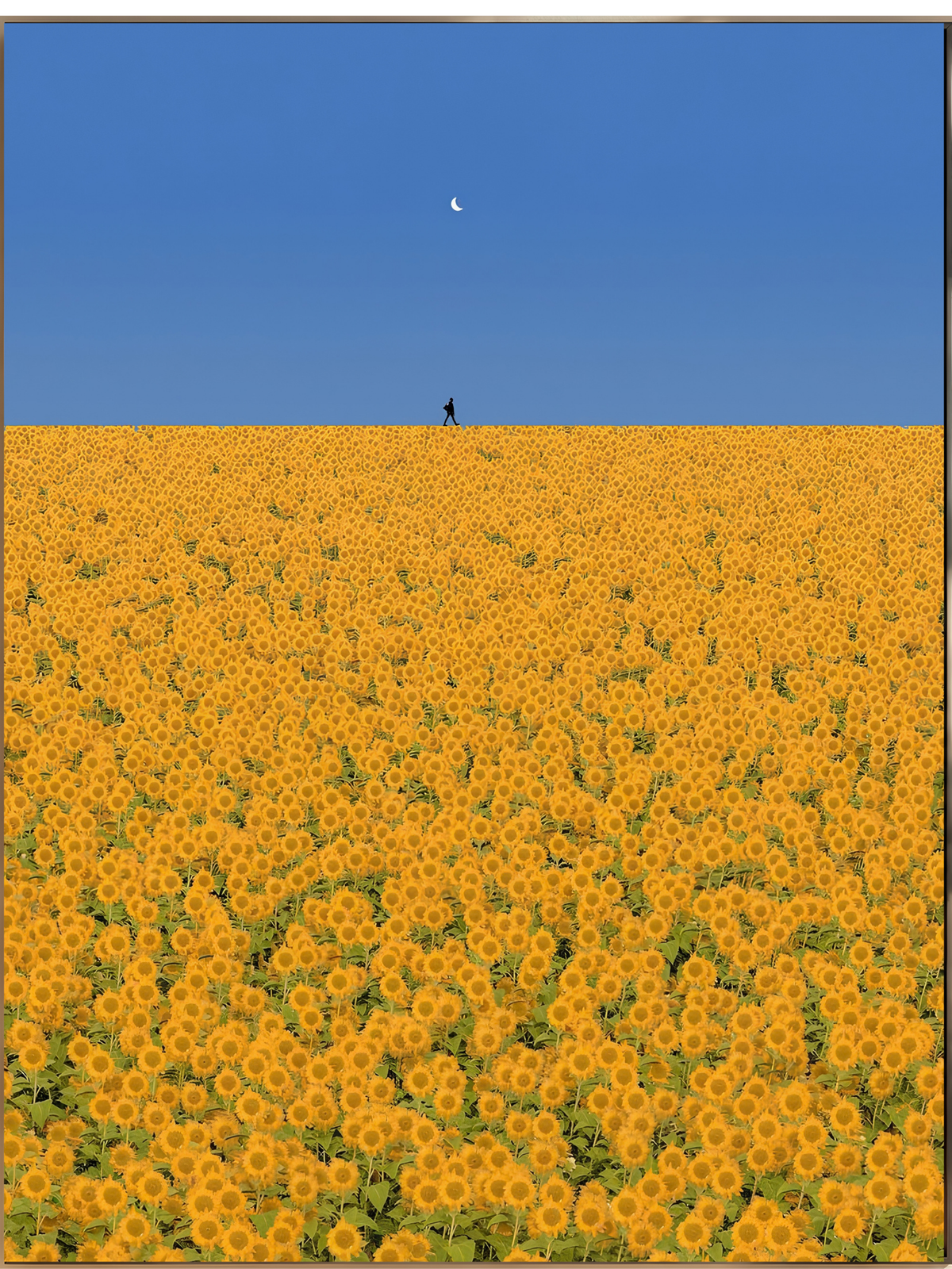 Butter Yellow N°03