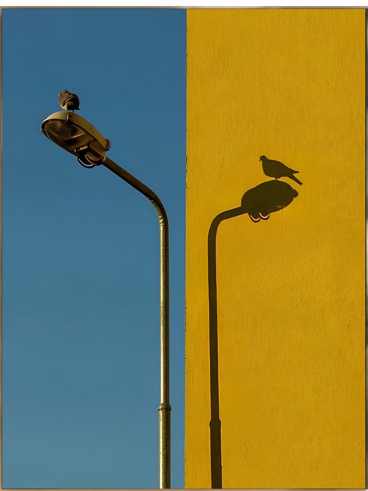 Butter Yellow N°05