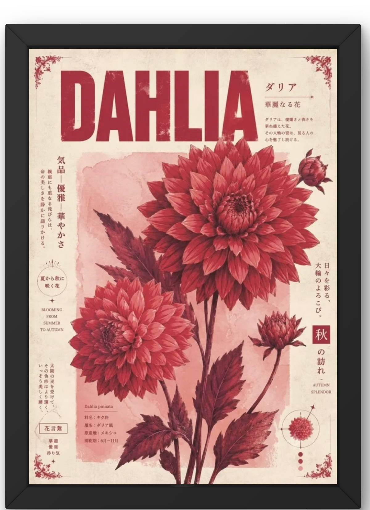 Dahlia No. 13